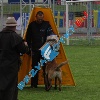 IMG_9483 (2)